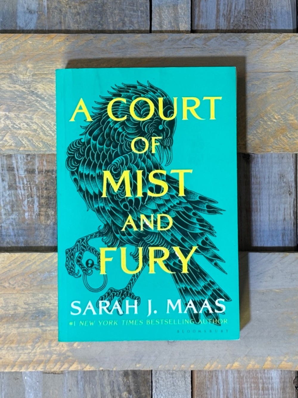 ✶FREE!! ↠·Mist & Fury·↞ EUC. Maas Book GIFT GIVEAWAY | Court Thorns Wings Roses - Picture 1 of 11